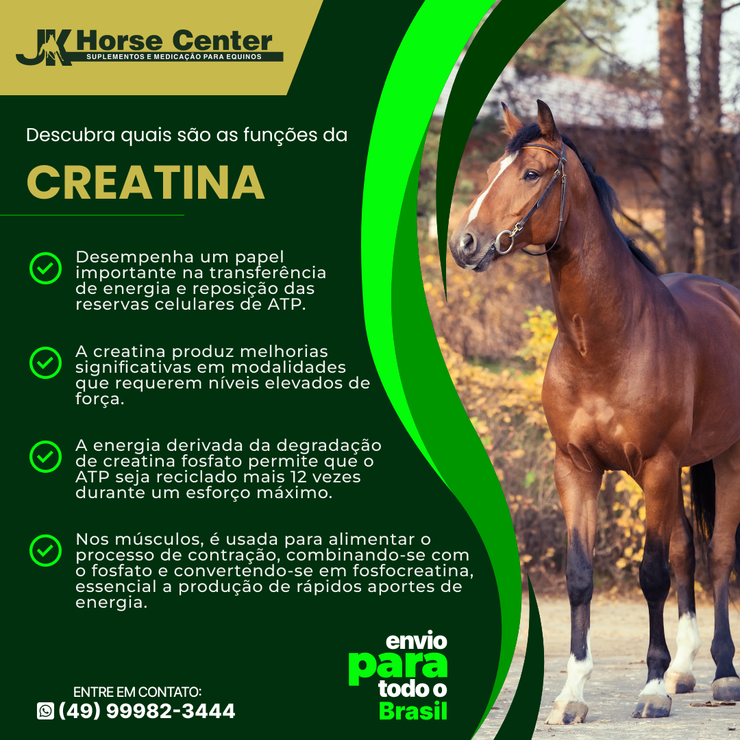 CREATINA